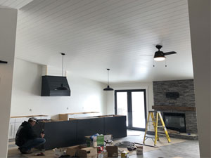 expert painters